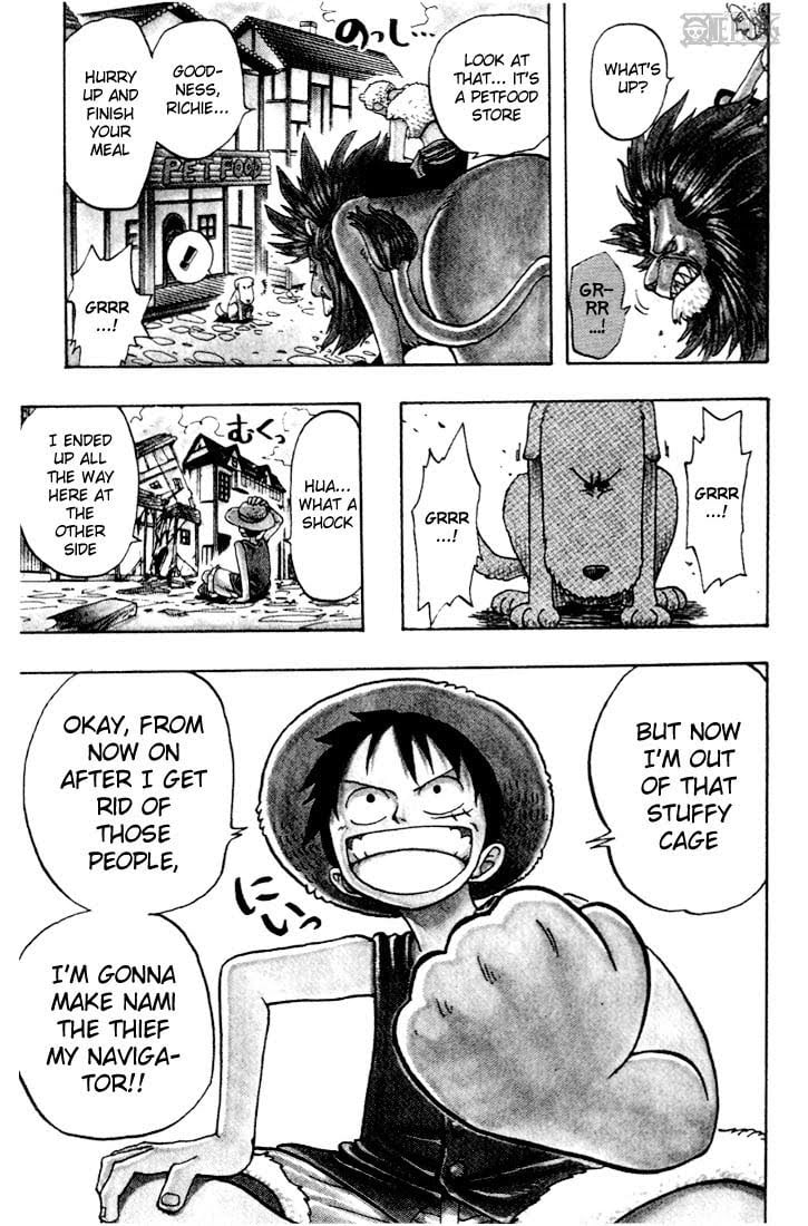 One Piece, Chapter 12 image 21